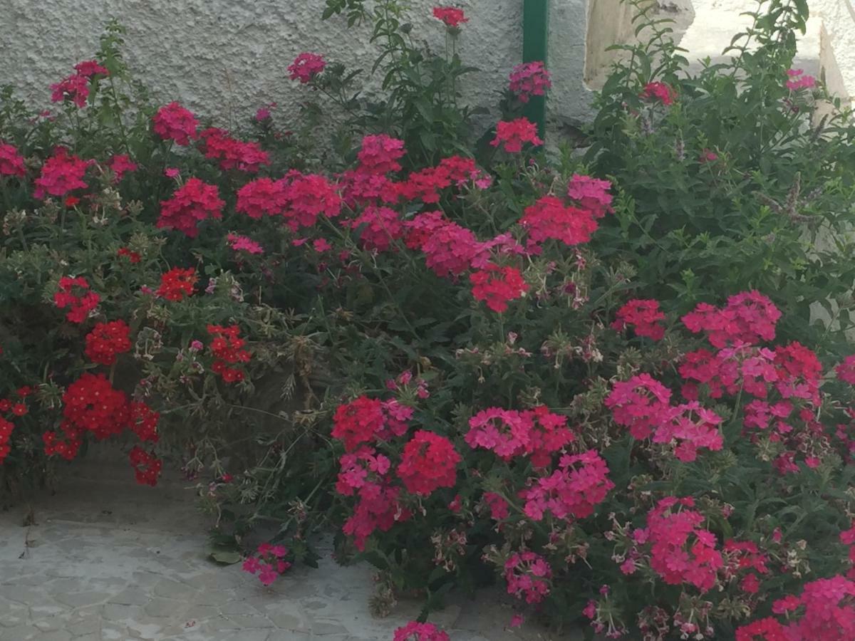 Apartmán Casa Sul Mare - Wifi Free - Parcheggio Privato San Foca Exteriér fotografie